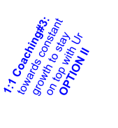 1:1 Coaching#3:     towards constant      growth to stay       on top with Ur         OPTION II