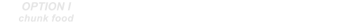 OPTION Ichunk food FIT 4 for the 21st Century;lets begin with HEALTH OPTION IImakes inner sense